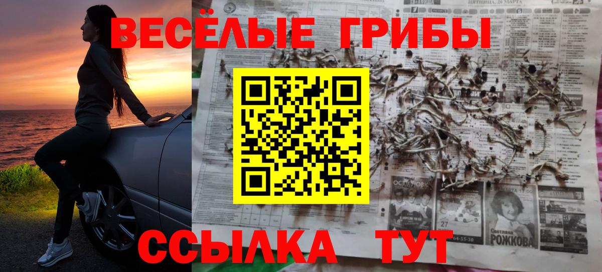 Галлюциногенные грибы MAGIC MUSHROOMS Вольск