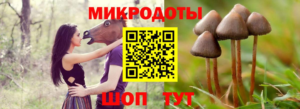 Псилоцибиновые грибы прущие грибы  цена   Вольск  Вход с VPN  Псилоцибиновые грибы мицелий 